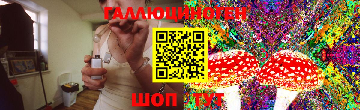 Биробиджан  Галлюциногенные грибы Magic Shrooms  где можно купить наркотик  Вход с VPN 